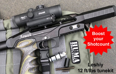 Edgun Leshiy-1 12 ft/lbs Tuning Regulator Set By Huma-Air