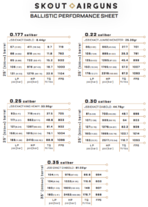 Epoch Skout Airrifle .25