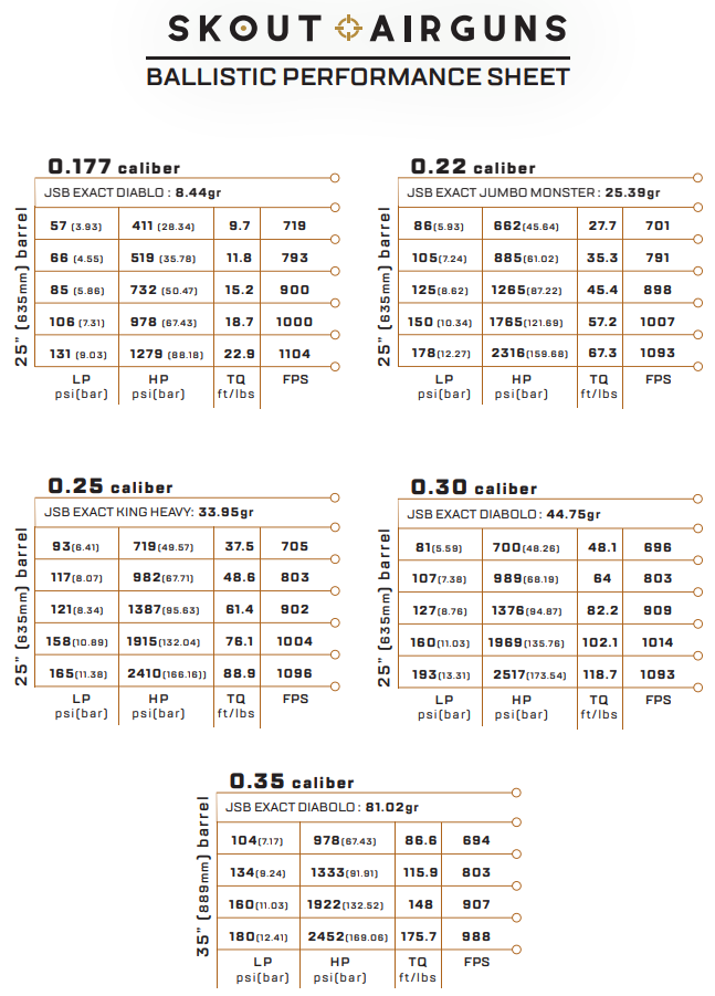 Epoch Skout Airrifle .25
