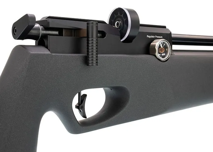 FX Biathlon MKII Synthetic Air Rifle