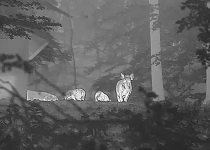 HikMicro Falcon FQ35 Thermal Imaging Camera