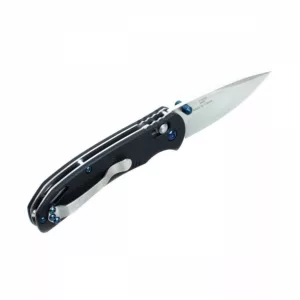Ganzo Firebird Folding Knife F753M1 Black