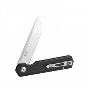 Ganzo FH11 Black Folding Knife