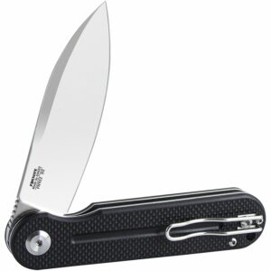 Ganzo Firebird FH922 Black Folding Knife