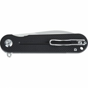 Ganzo Firebird FH922 Black Folding Knife