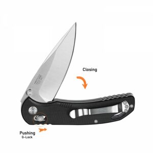 Ganzo G6252 Black Folding Knife