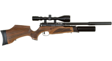 BSA R10 (all models)