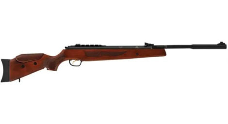 Spring Air Rifles