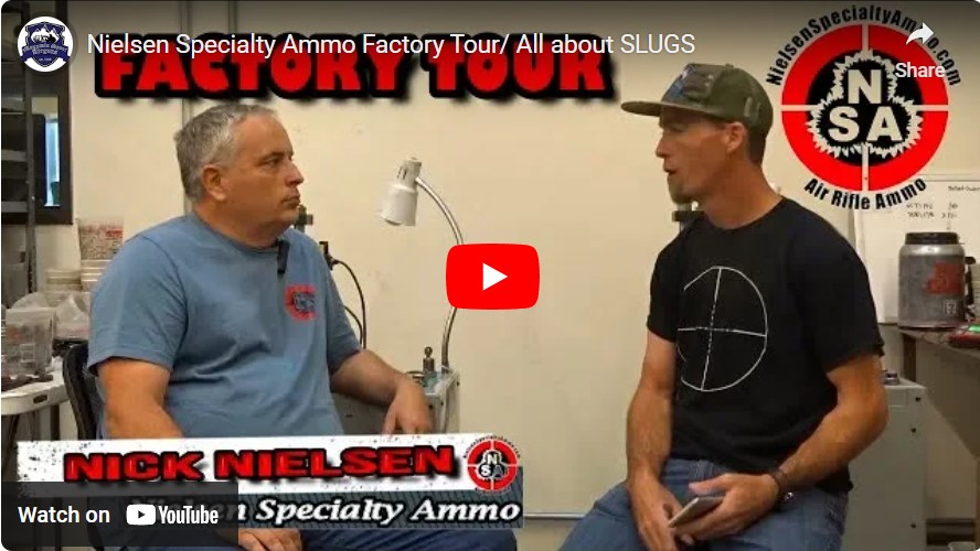 Video Nielsen NSA Air Gun Slugs Cal .45 HPDB 196 Grain (.454)